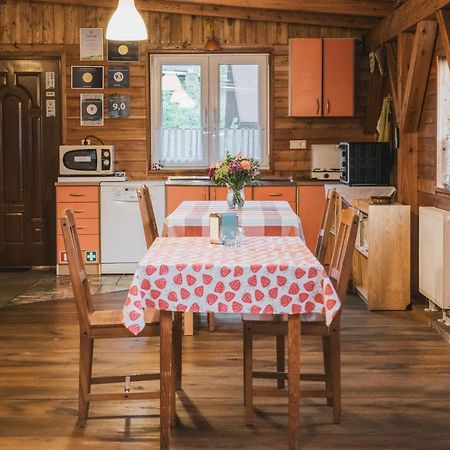 Agroturystyka Pod Modrzewiami Nowy Tomyśl Exteriör bild