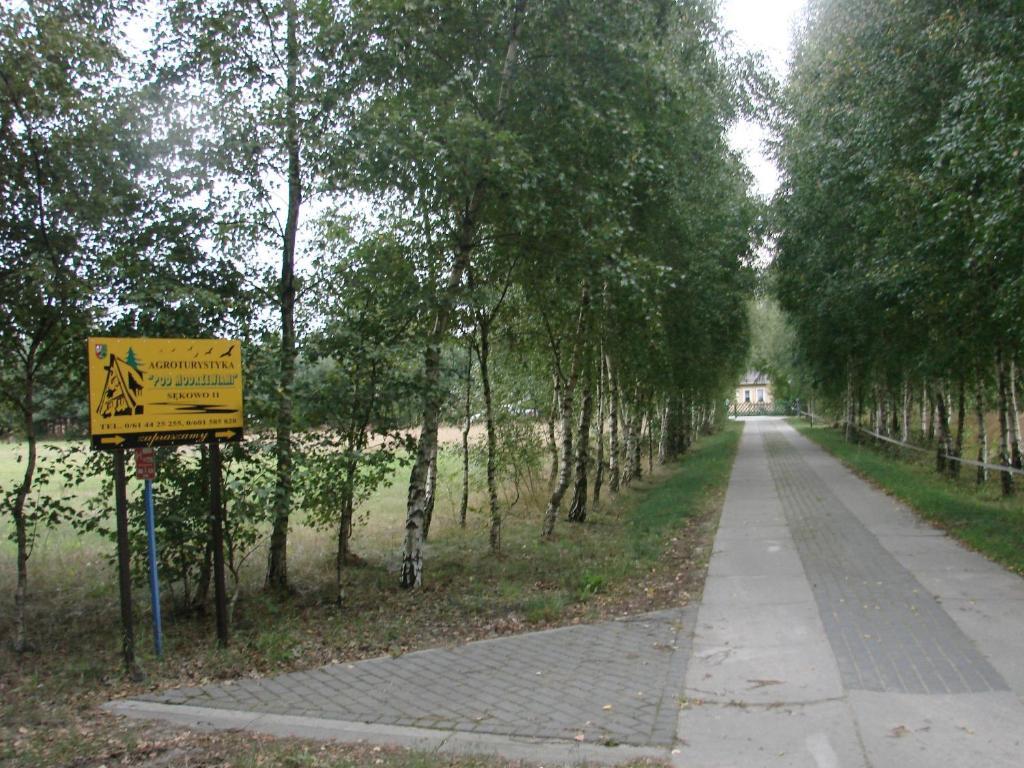 Agroturystyka Pod Modrzewiami Nowy Tomyśl Exteriör bild
