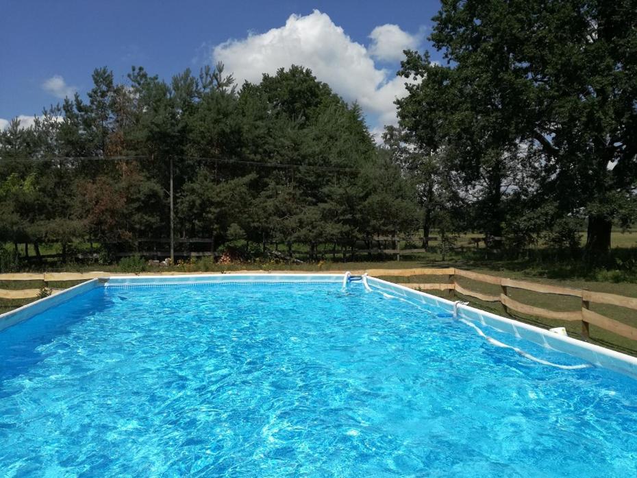 Agroturystyka Pod Modrzewiami Nowy Tomyśl Exteriör bild