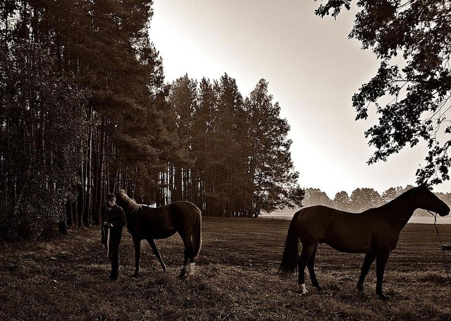 Agroturystyka Pod Modrzewiami Nowy Tomyśl Exteriör bild