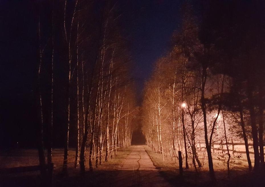 Agroturystyka Pod Modrzewiami Nowy Tomyśl Exteriör bild
